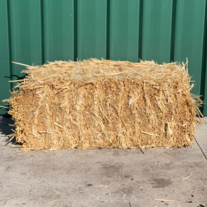 Straw Bale